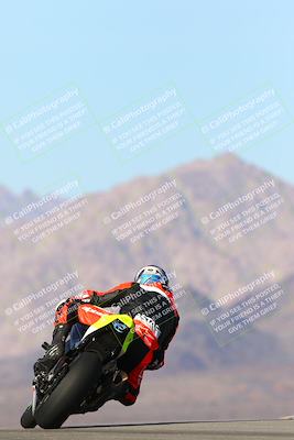 media/Jan-13-2024-SoCal Trackdays (Sat) [[9c032fe5aa]]/Turn 9 Backside (110pm)/